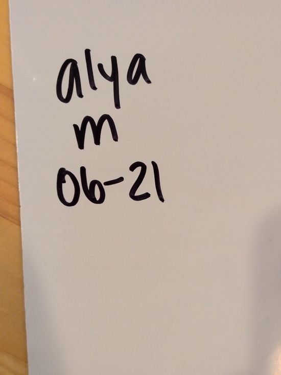 Alya Rust Orange Pointelle Knit Sweater Medium V-Neck Chevron Crochet Boho - Picture 10 of 10